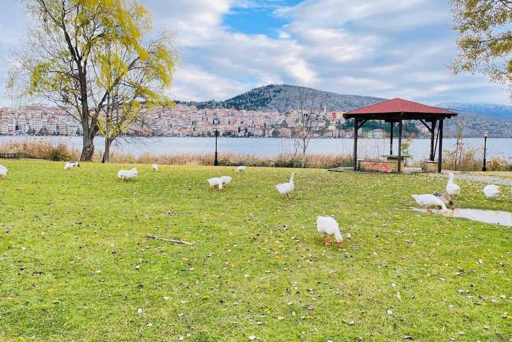 Lida'S Apartment Lake View Kastoria Exteriér fotografie